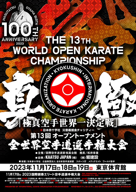 13WC Poster Web